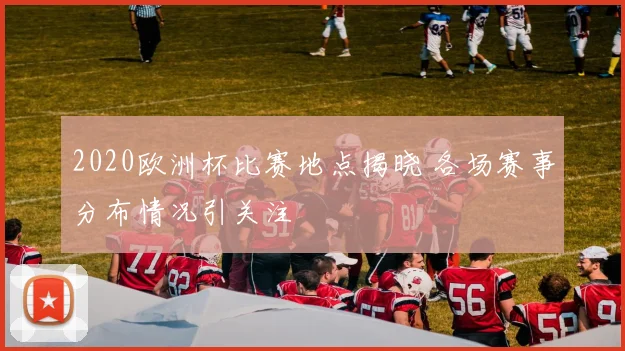 2020欧洲杯比赛地点揭晓 各场赛事分布情况引关注