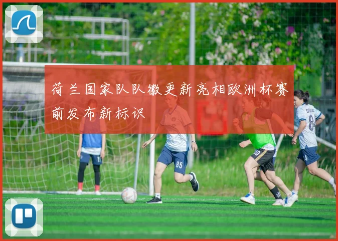 荷兰国家队队徽更新亮相欧洲杯赛前发布新标识