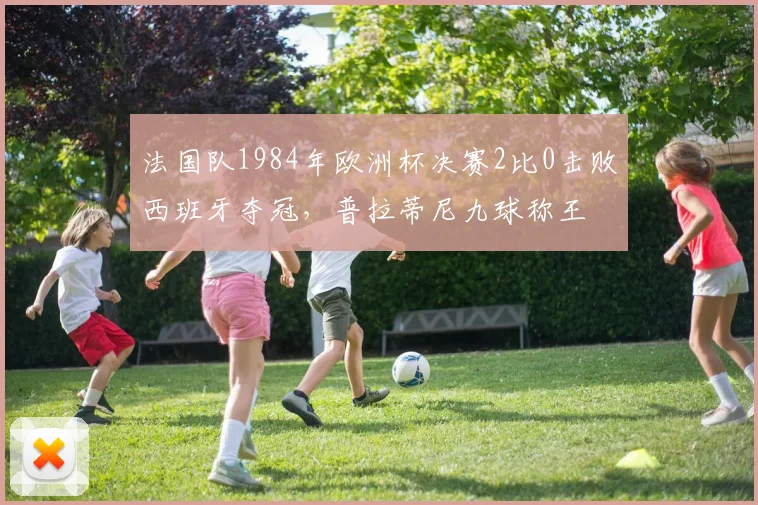 法国队1984年欧洲杯决赛2比0击败西班牙夺冠，普拉蒂尼九球称王